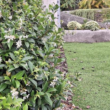 Moradia Stephanie Funchal Dış mekan fotoğraf