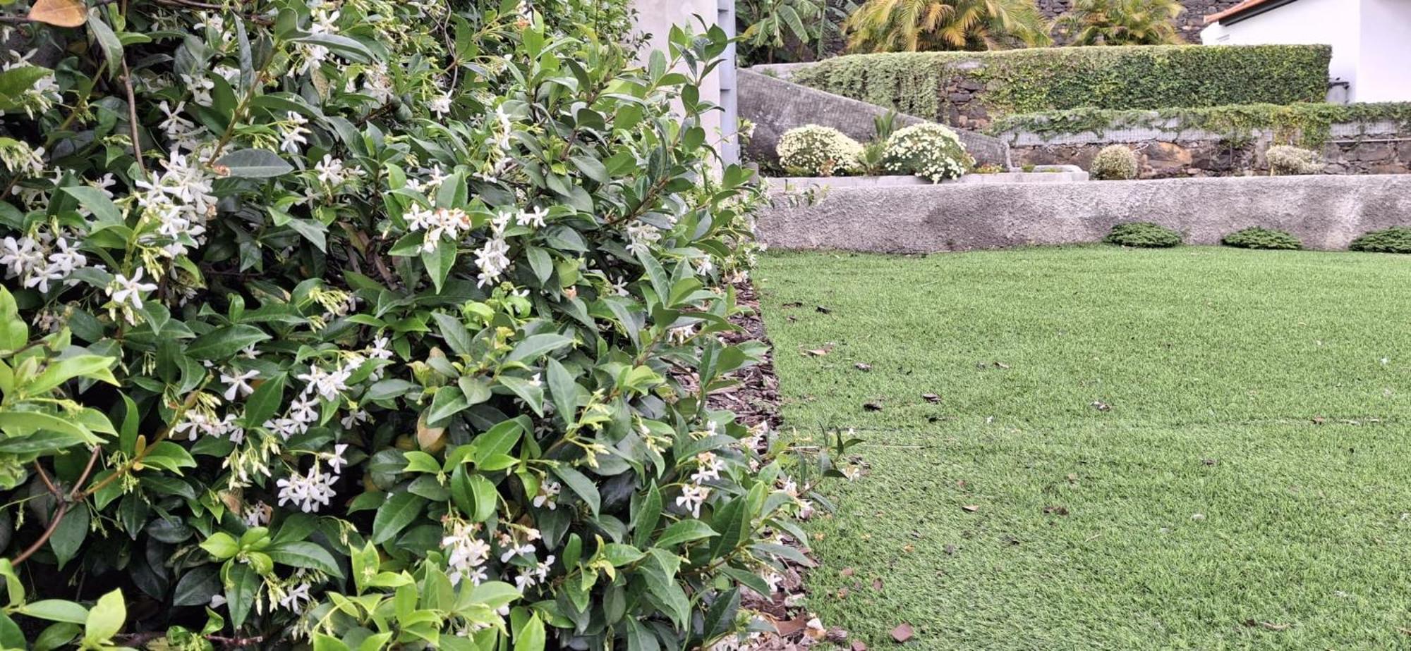 Moradia Stephanie Funchal Dış mekan fotoğraf